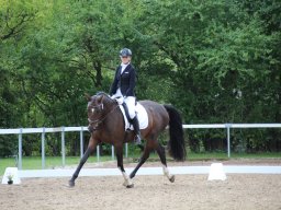 IMG_0220_web